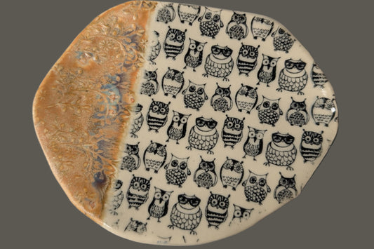 wise owl image 0