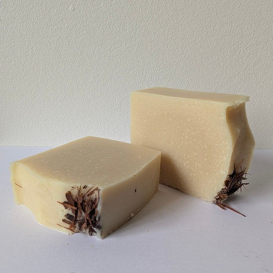 Two beige soap bars with natural elements on a white background
